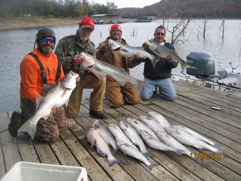 Nice Striped Bass